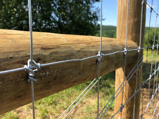 Σταθερός ελάφια φράκτης 1.2m κόμβων κοινός φράκτης τομέων πλέγματος καλωδίων βοοειδών αρθρώσεων
