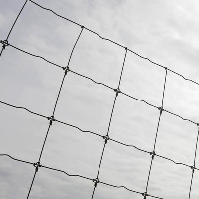 Βαρέων καθηκόντων τομέων σταθερό παιχνίδι υφαμένο κόμβος καλωδίων αγρόκτημα 2.2mm 2.5mm 2.7mm προβάτων φρακτών γαλβανισμένο